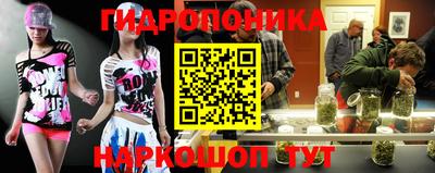 spice Дубна
