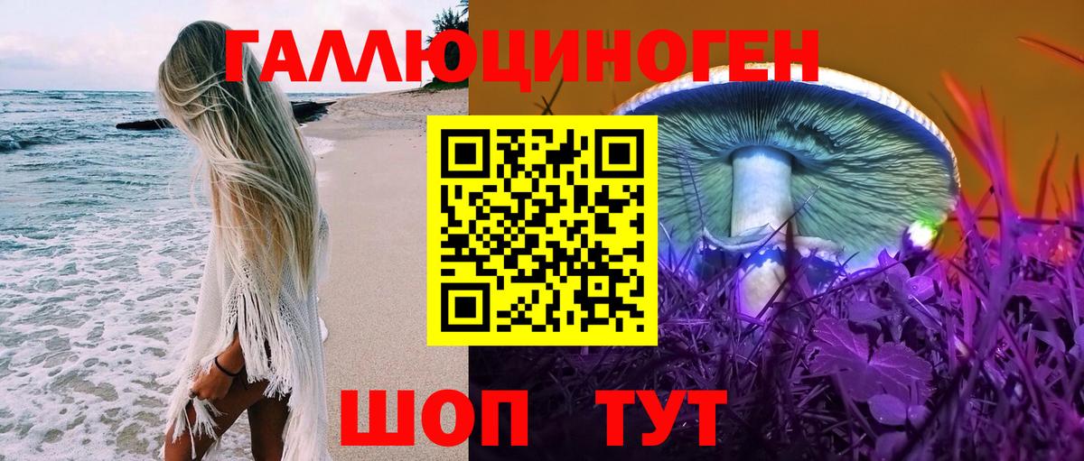 где купить   Вход с VPN  Ливны  Псилоцибиновые грибы Magic Shrooms 